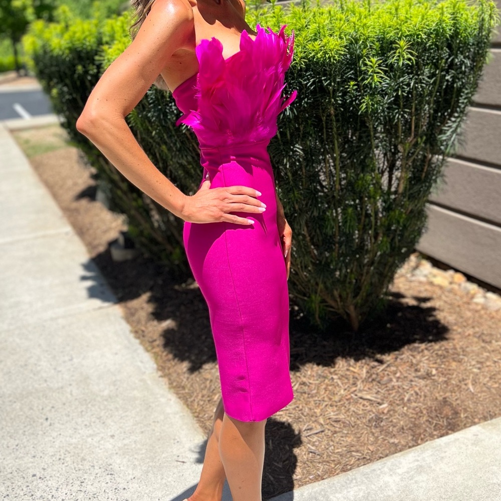 Fuschia Bodycon Dress with Feathers